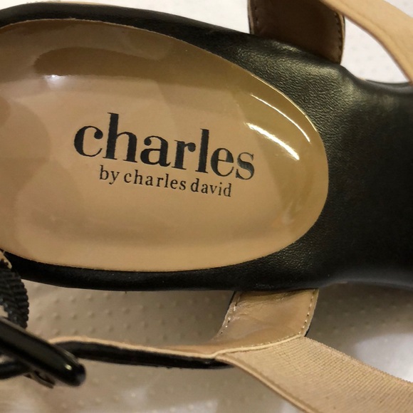 Charles by Charles David Wedges Sandal. NWOT - Picture 3 of 4